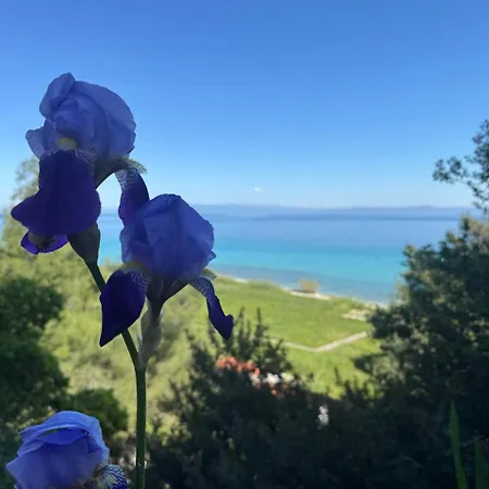 Hébergement de vacances First In The Sea With Amazing View House Kriopigi