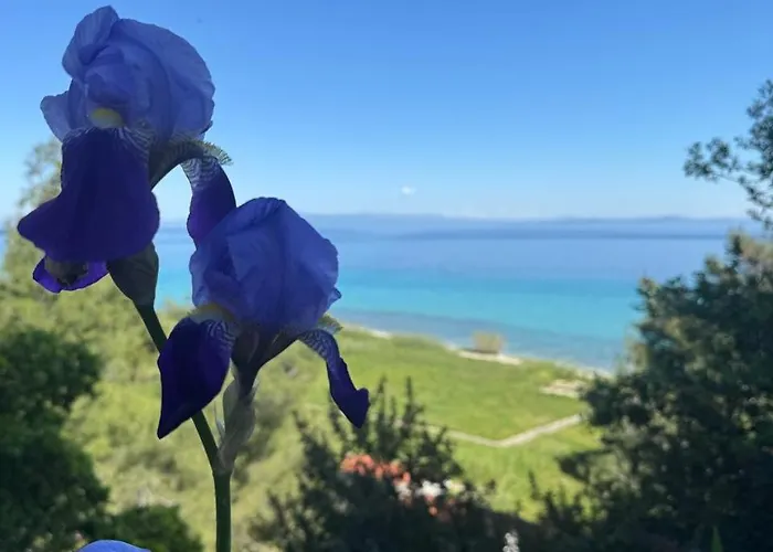 度假居 First In The Sea With Amazing View House 克里皮吉